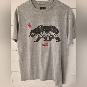 Levi's Gray Bear Graphic Kids T-Shirt